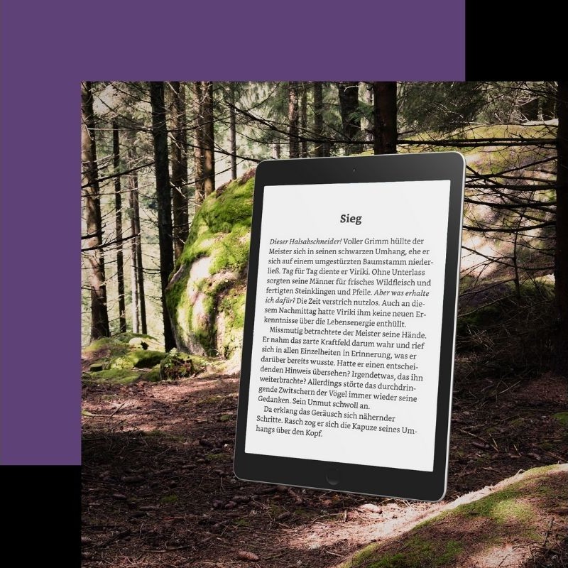 Fantasywelt Kurzgeschichte als eBook